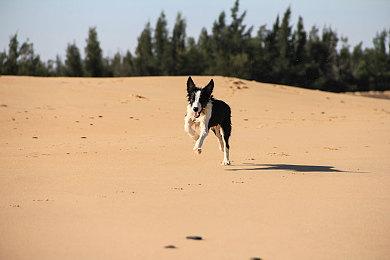 爽快动作游戏《克拉肯都市》12月10日发售